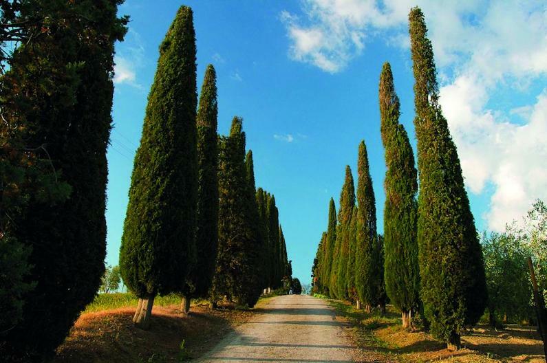 Le Traverse Pienza Ngoại thất bức ảnh